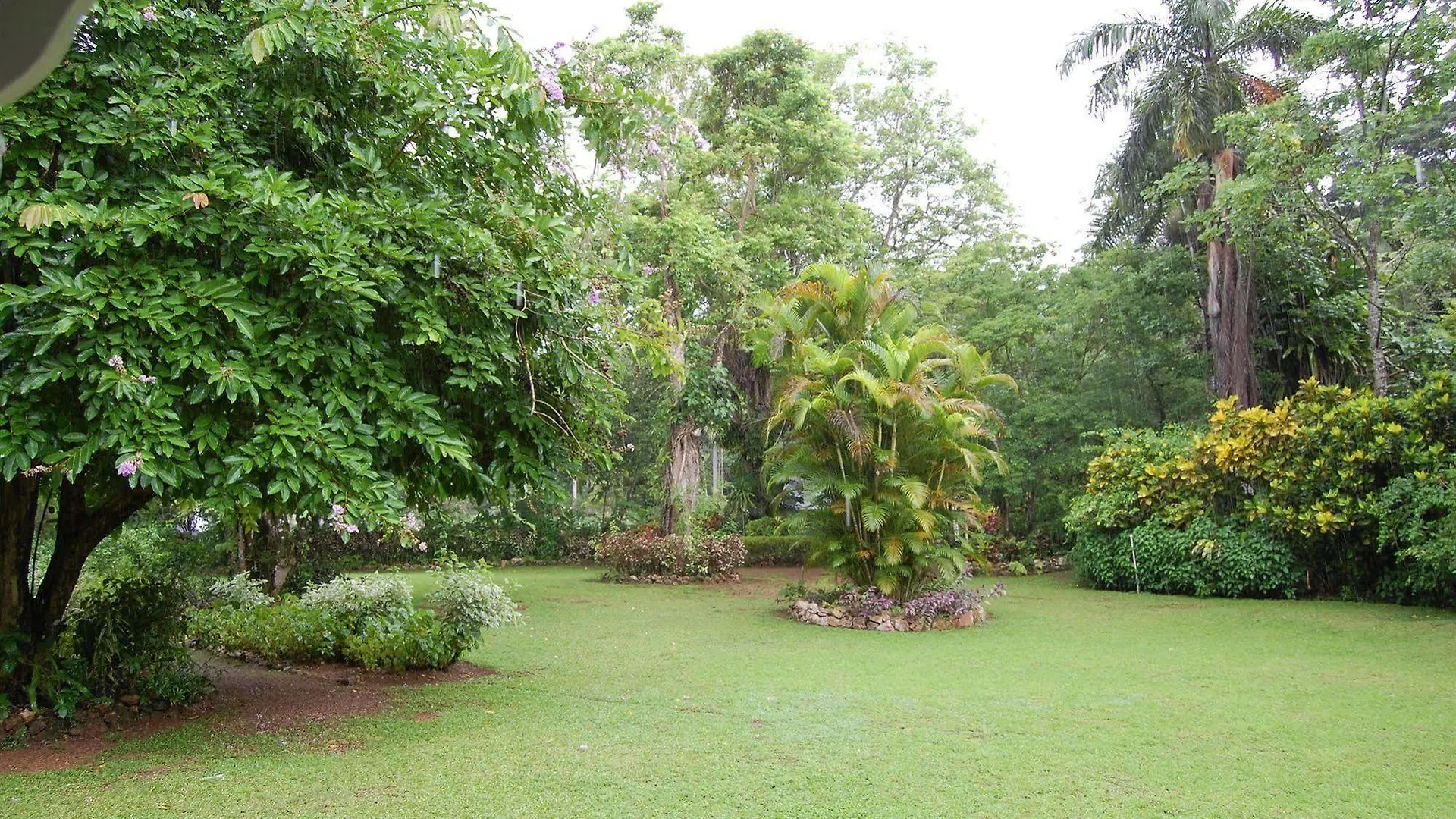 Inn At Shaw Park Gardens & Waterfalls Ocho Rios