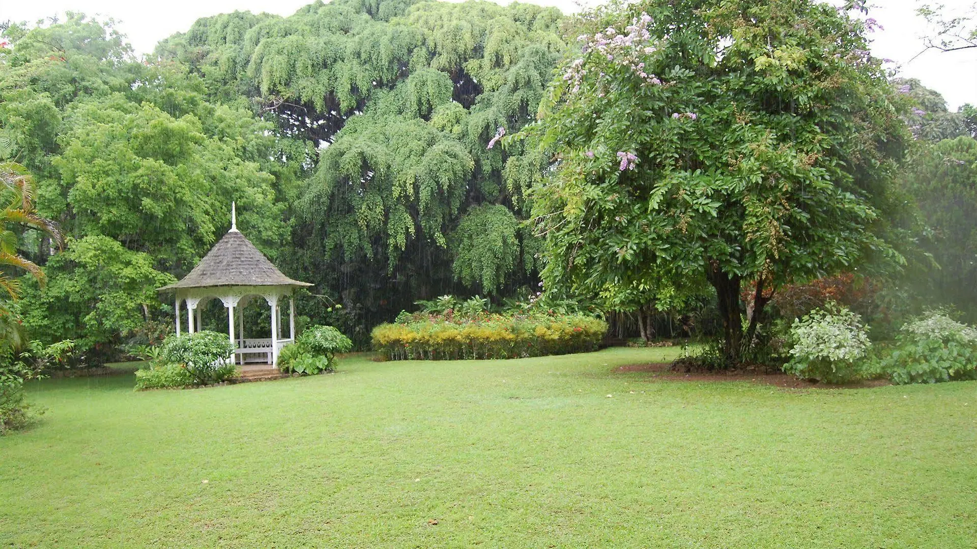 Hotel Inn At Shaw Park Gardens & Waterfalls Ocho Ríos